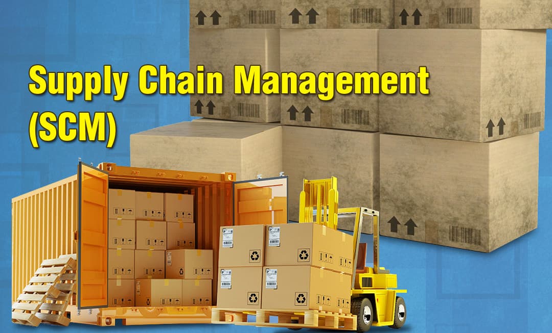Reduce Operational Cost of Business With ERP System Software